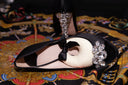 Jo Shoe Stuffers by Kathryn Kurt